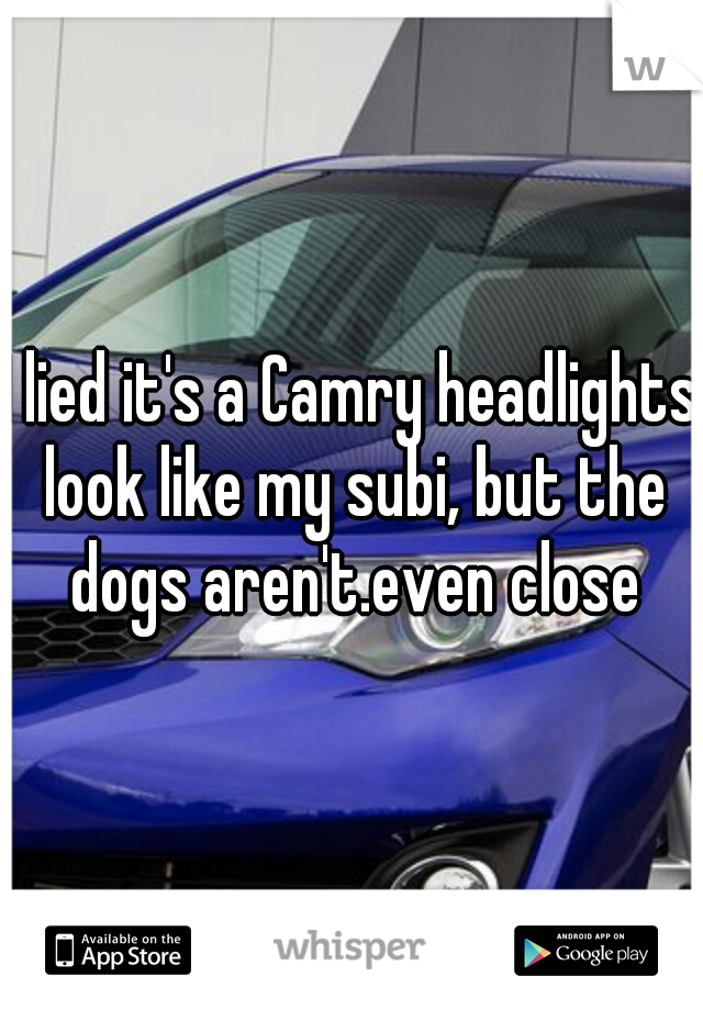 I lied it's a Camry headlights look like my subi, but the dogs aren't.even close