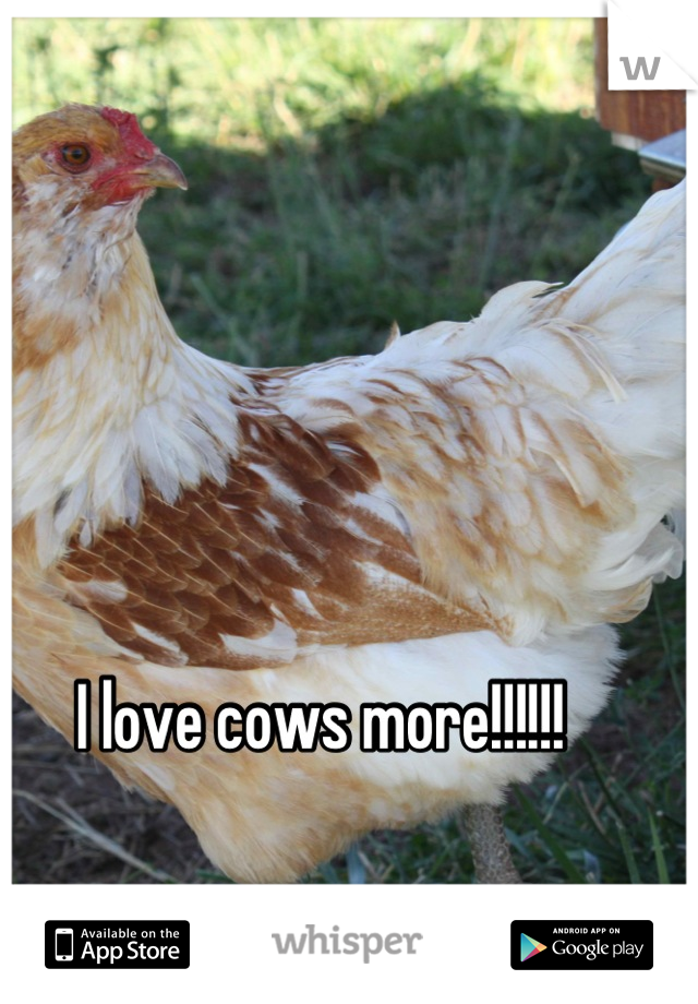 I love cows more!!!!!!