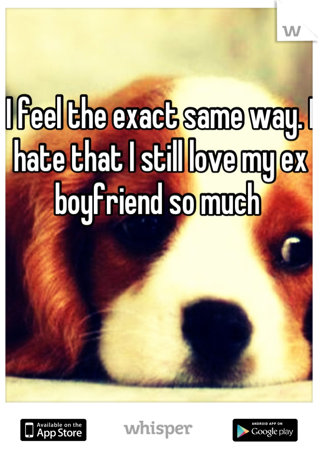 I feel the exact same way. I hate that I still love my ex boyfriend so much 