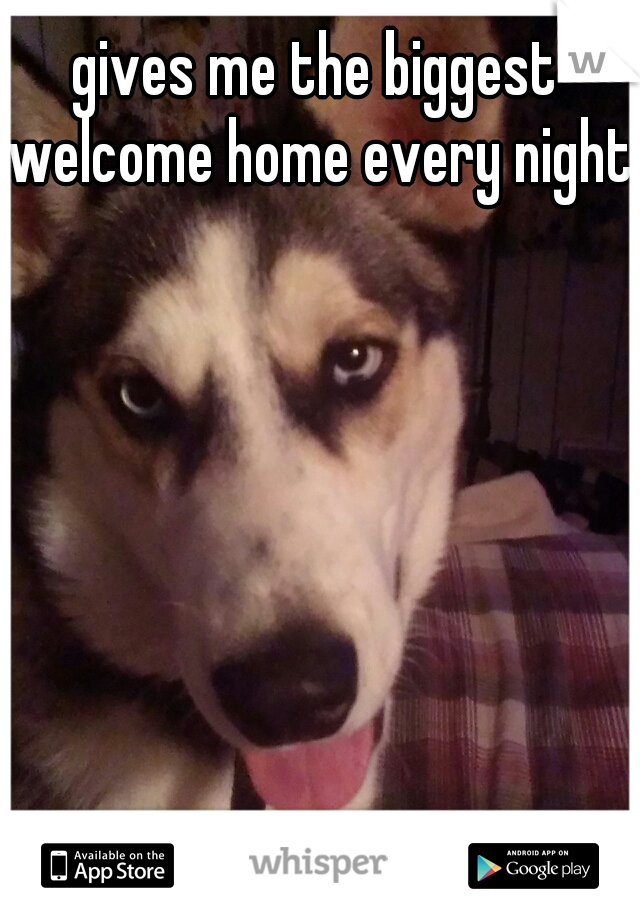 gives me the biggest welcome home every night
