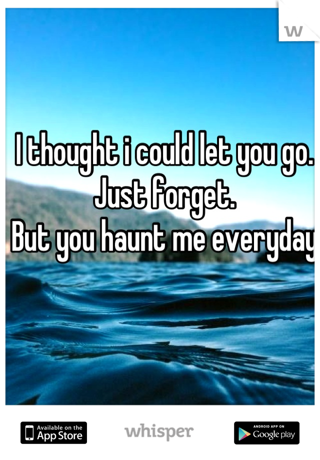 I thought i could let you go. 
Just forget.
But you haunt me everyday