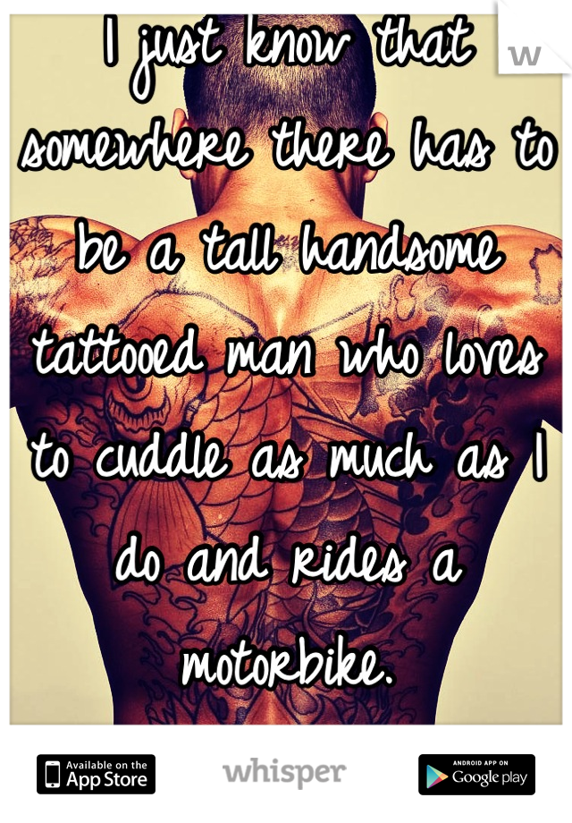 I just know that somewhere there has to be a tall handsome tattooed man who loves to cuddle as much as I do and rides a motorbike. 

It's all I'm after ...