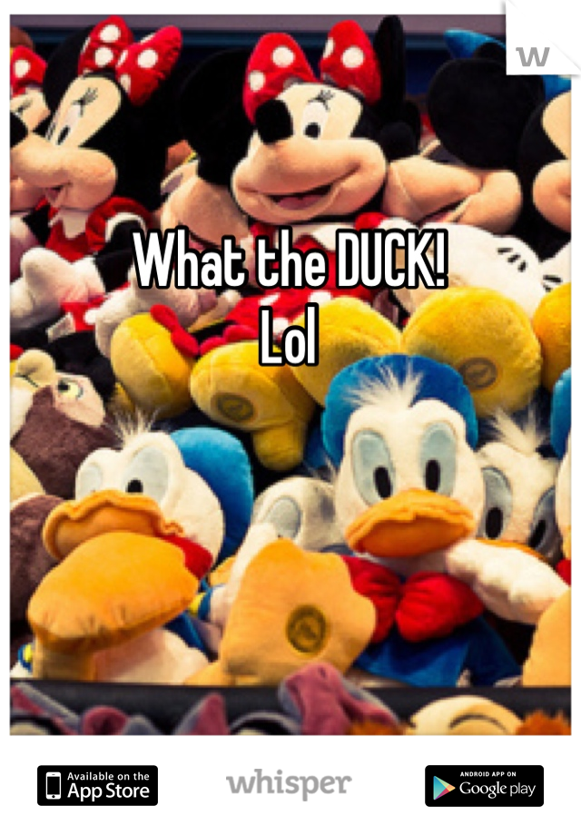 What the DUCK! 
Lol