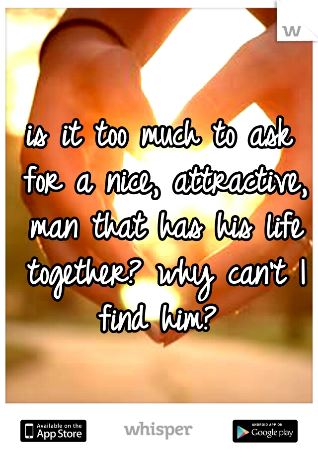 is it too much to ask for a nice, attractive, man that has his life together? why can't I find him? 