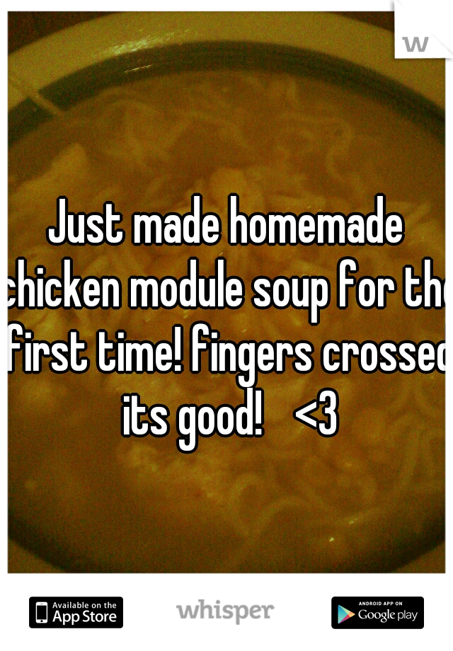 Just made homemade chicken module soup for the first time! fingers crossed its good! 
<3