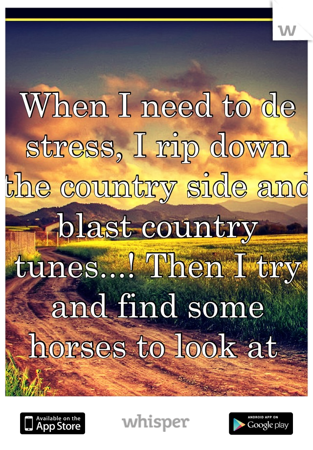 When I need to de stress, I rip down the country side and blast country tunes...! Then I try and find some horses to look at 