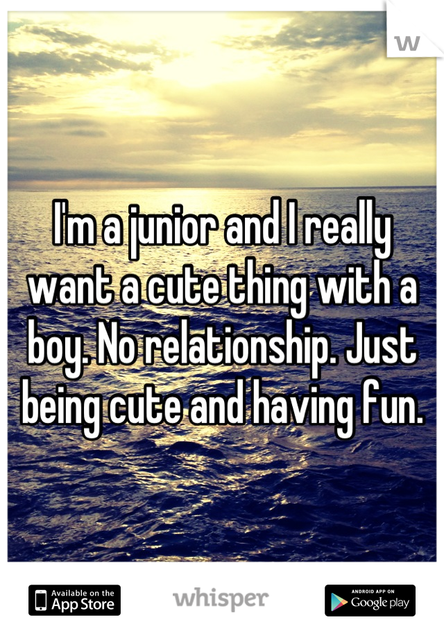 I'm a junior and I really want a cute thing with a boy. No relationship. Just being cute and having fun.
