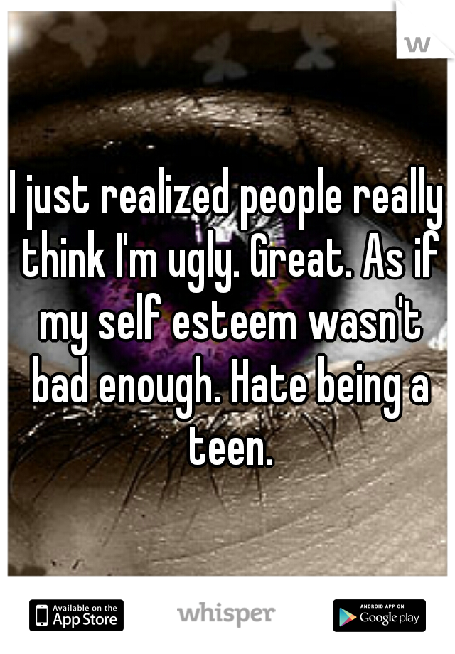 I just realized people really think I'm ugly. Great. As if my self esteem wasn't bad enough. Hate being a teen.