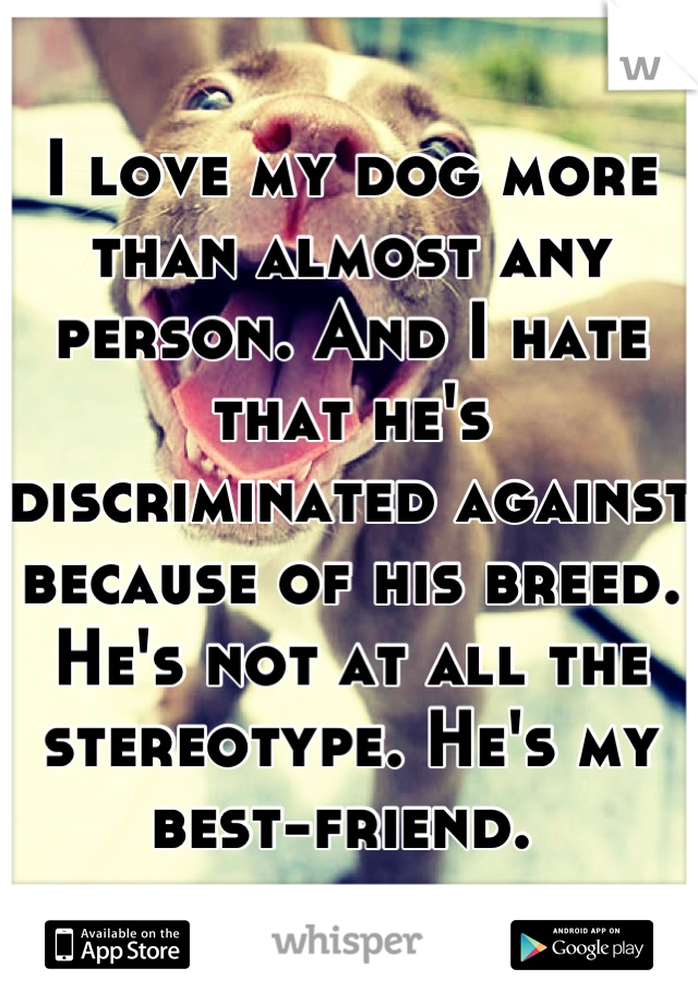 I love my dog more than almost any person. And I hate that he's discriminated against because of his breed. He's not at all the stereotype. He's my best-friend. 
