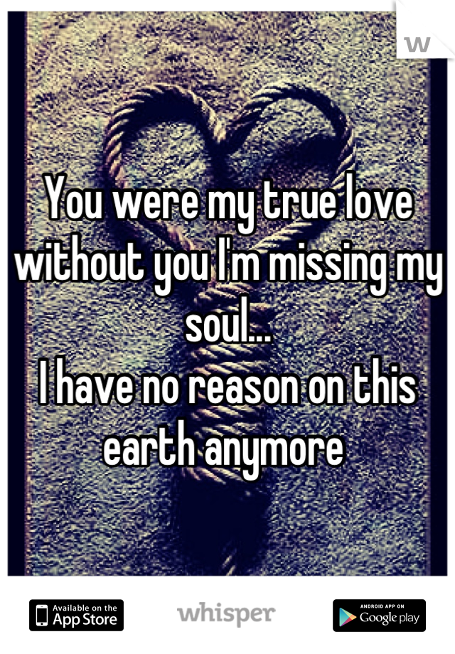 You were my true love without you I'm missing my soul... 
I have no reason on this earth anymore 