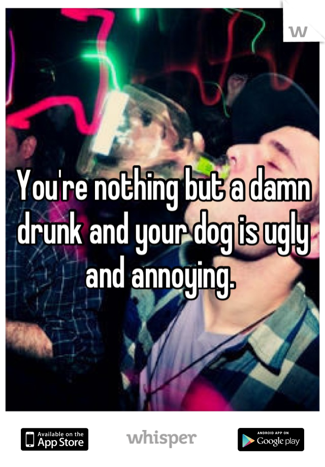 You're nothing but a damn drunk and your dog is ugly and annoying. 