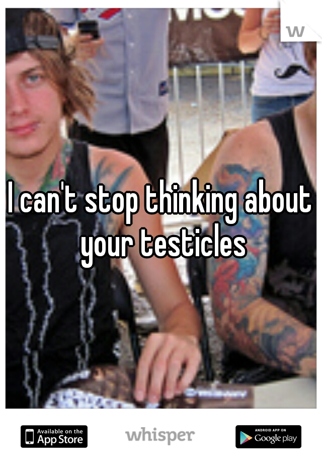 I can't stop thinking about your testicles