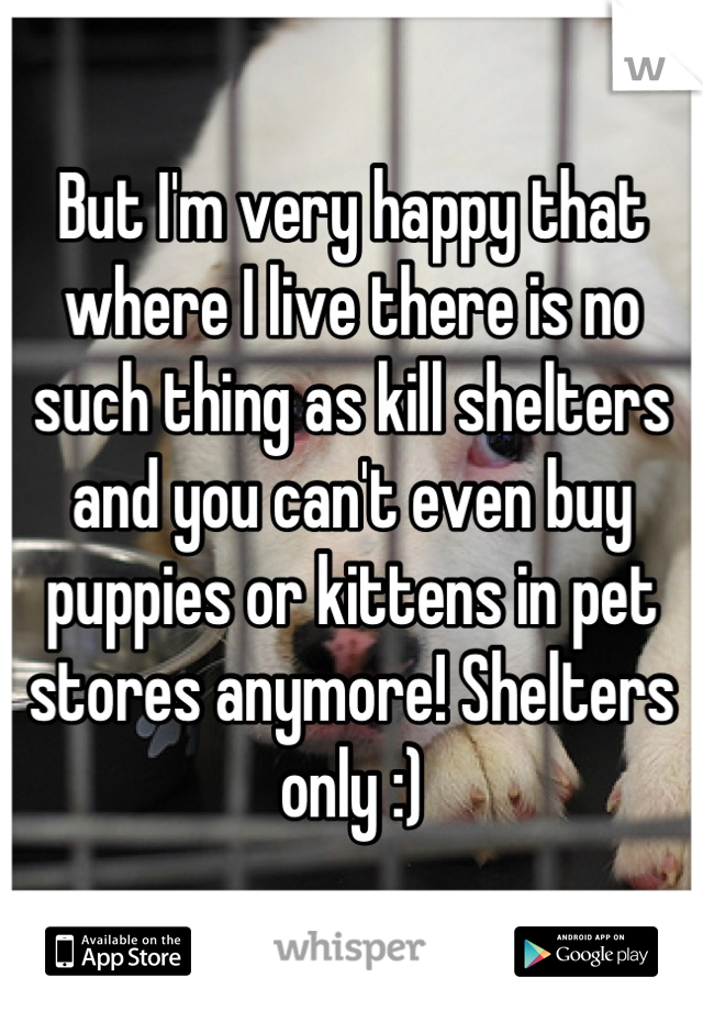 But I'm very happy that where I live there is no such thing as kill shelters and you can't even buy puppies or kittens in pet stores anymore! Shelters only :)