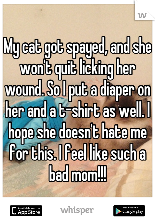 My cat got spayed, and she won't quit licking her wound. So I put a diaper on her and a t-shirt as well. I hope she doesn't hate me for this. I feel like such a bad mom!!!