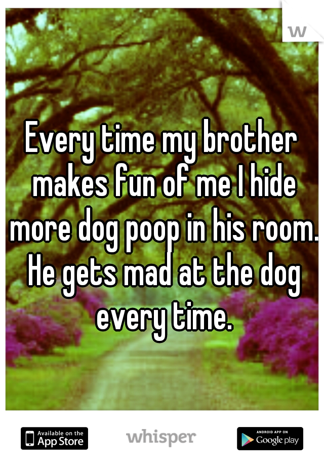 Every time my brother makes fun of me I hide more dog poop in his room. He gets mad at the dog every time.