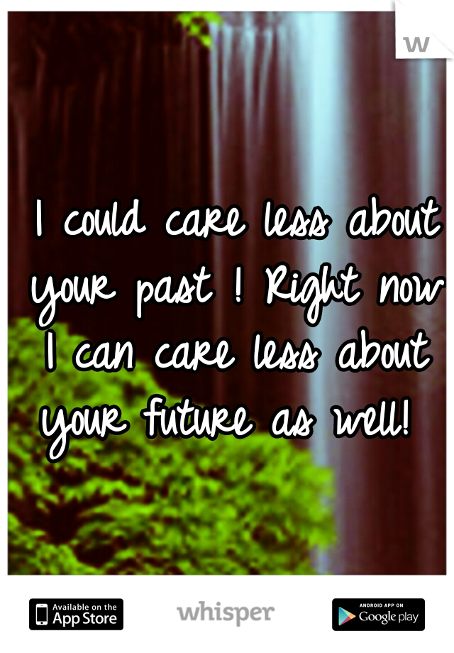  I could care less about your past ! Right now I can care less about your future as well! 