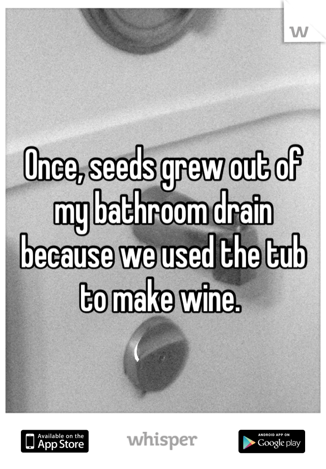 Once, seeds grew out of my bathroom drain because we used the tub to make wine. 