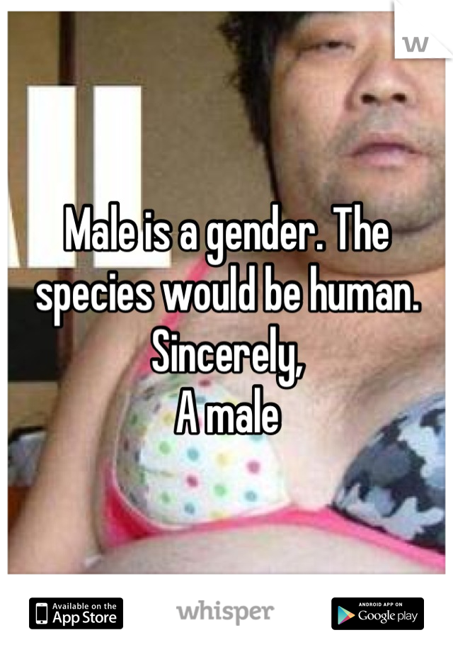 Male is a gender. The species would be human.
Sincerely, 
A male