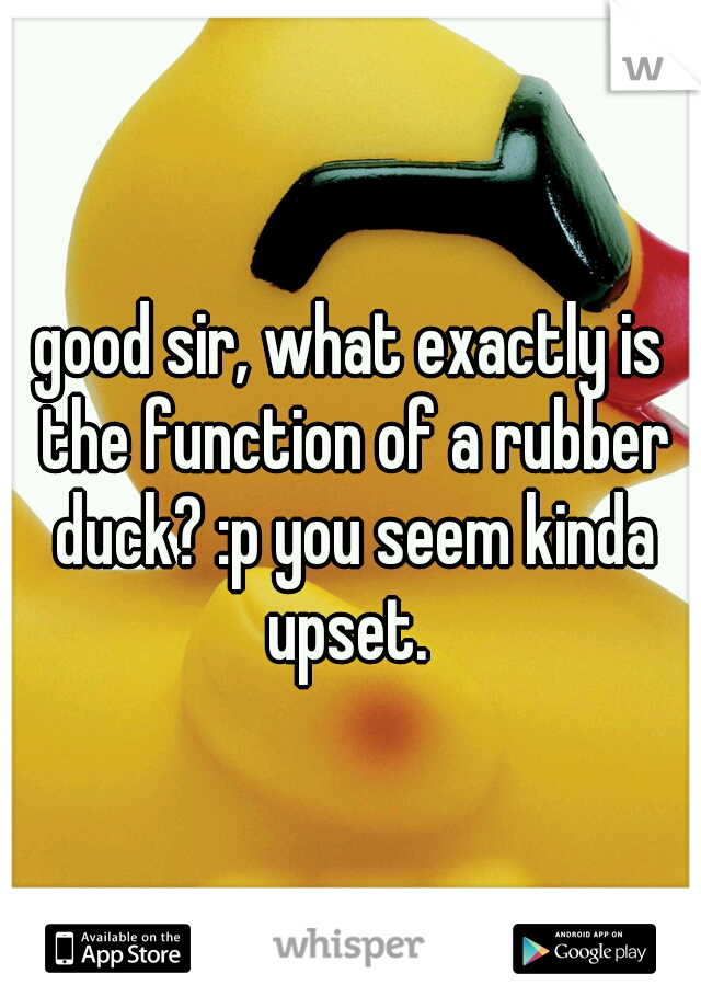 good sir, what exactly is the function of a rubber duck? :p you seem kinda upset. 
