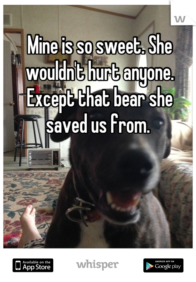 Mine is so sweet. She wouldn't hurt anyone. Except that bear she saved us from. 