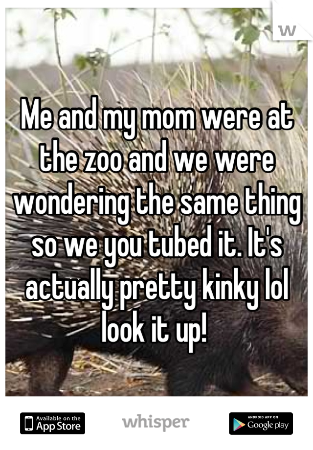Me and my mom were at the zoo and we were wondering the same thing so we you tubed it. It's actually pretty kinky lol look it up! 