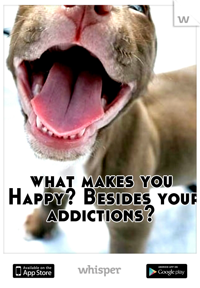 what makes you Happy? Besides your addictions? 