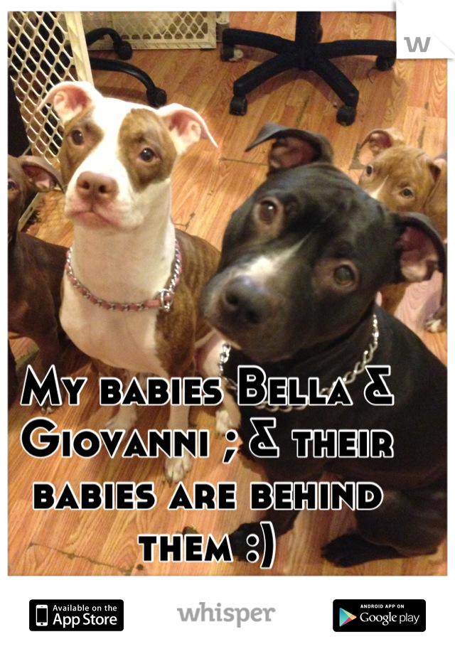 My babies Bella & Giovanni ; & their babies are behind them :)