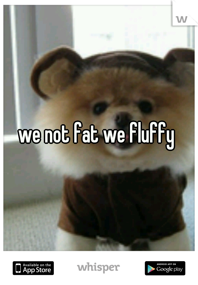 we not fat we fluffy 