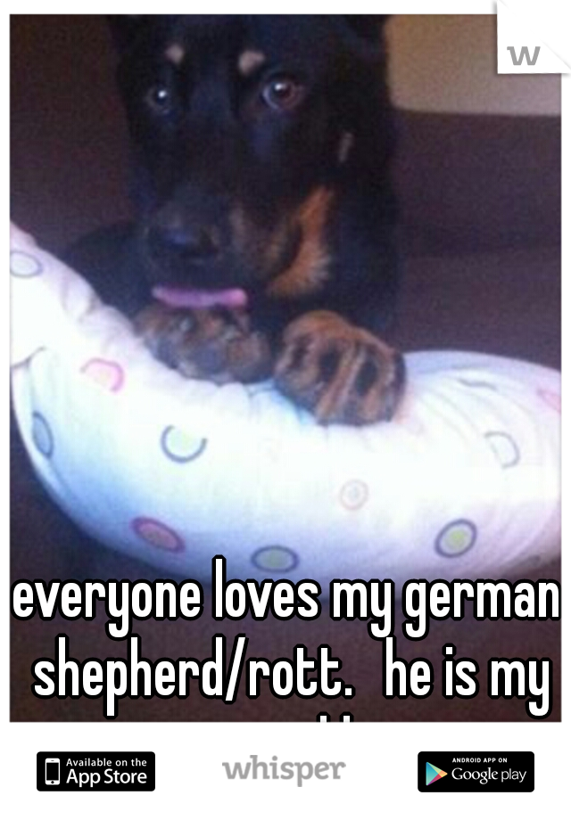 everyone loves my german shepherd/rott. 
he is my world