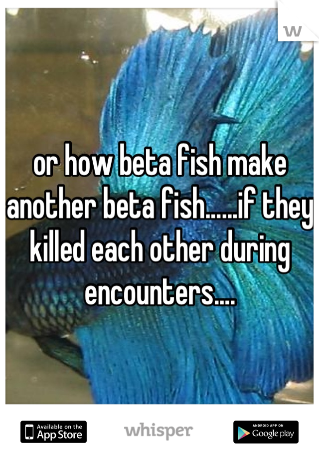or how beta fish make another beta fish......if they killed each other during encounters....