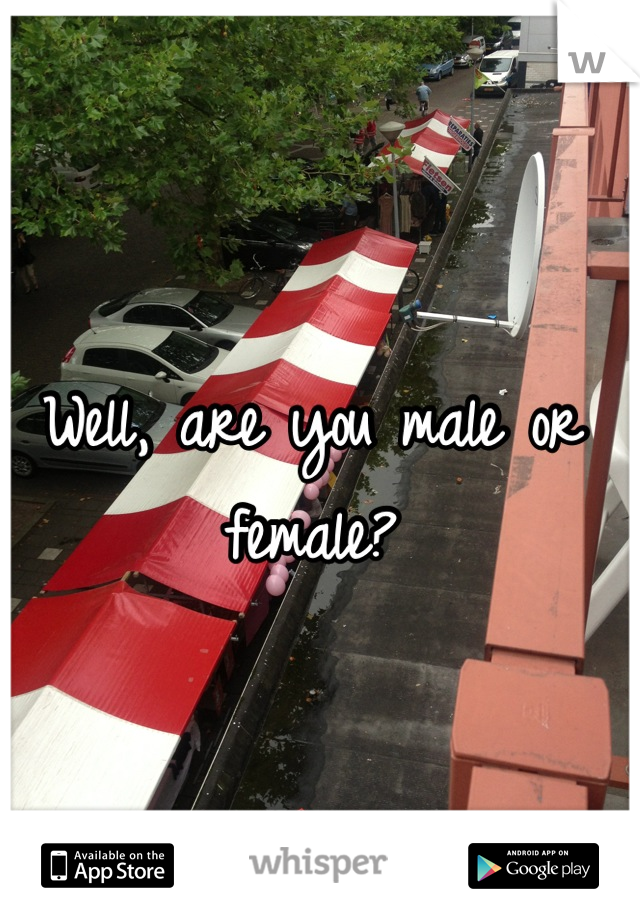 Well, are you male or female?