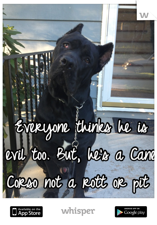 Everyone thinks he is evil too. But, he's a Cane Corso not a rott or pit 