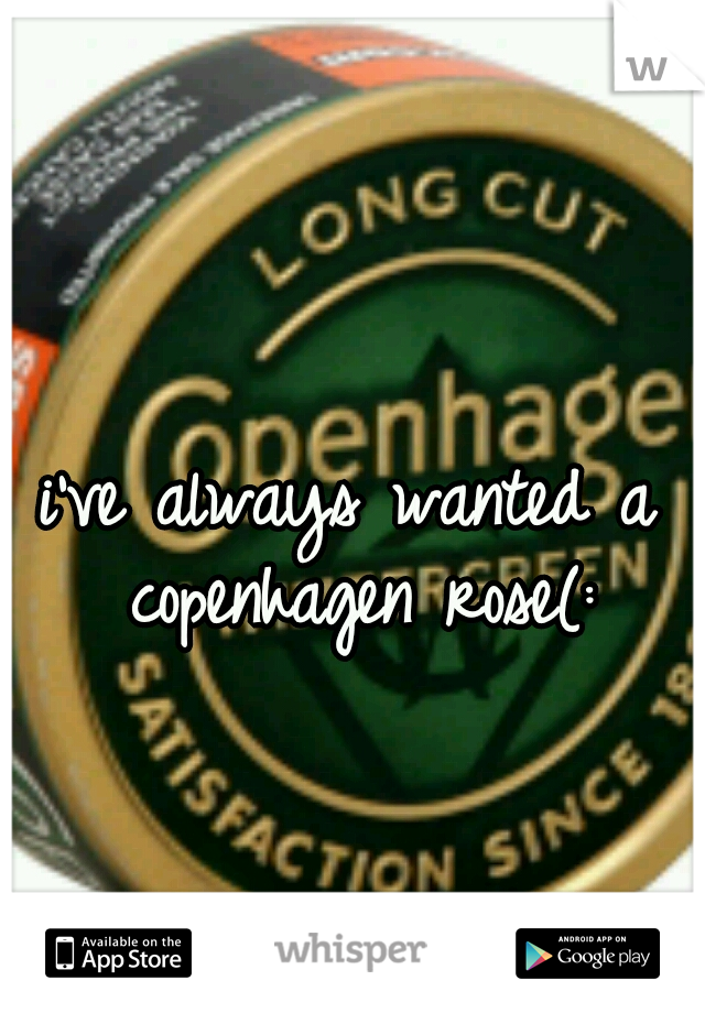 i've always wanted a copenhagen rose(: