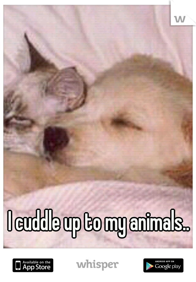 I cuddle up to my animals.. 