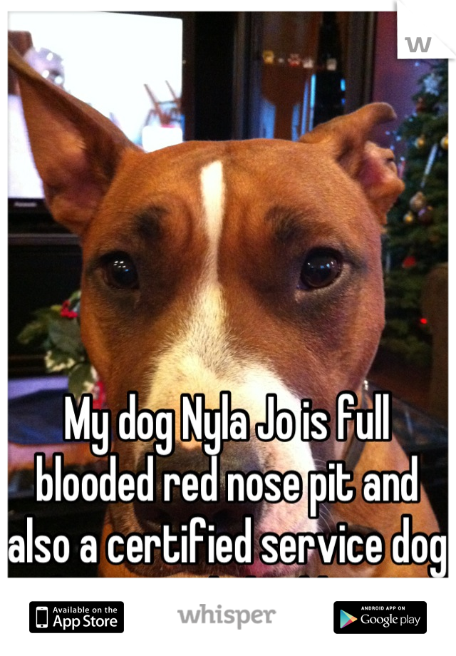 My dog Nyla Jo is full blooded red nose pit and also a certified service dog for wounded soldiers! 