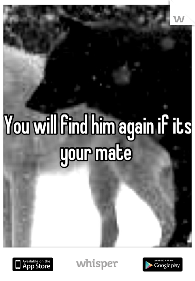 You will find him again if its your mate 