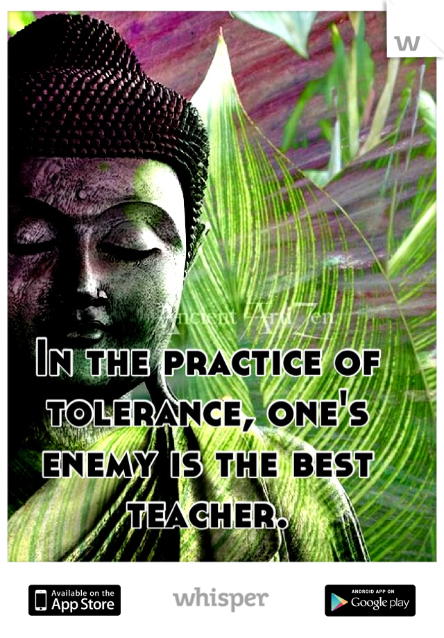 In the practice of tolerance, one's enemy is the best teacher.