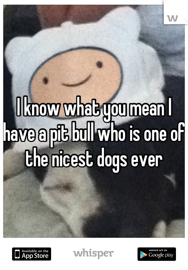 I know what you mean I have a pit bull who is one of the nicest dogs ever