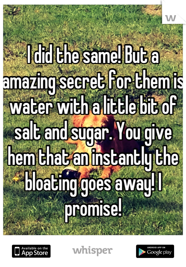 I did the same! But a amazing secret for them is water with a little bit of salt and sugar. You give hem that an instantly the bloating goes away! I promise!