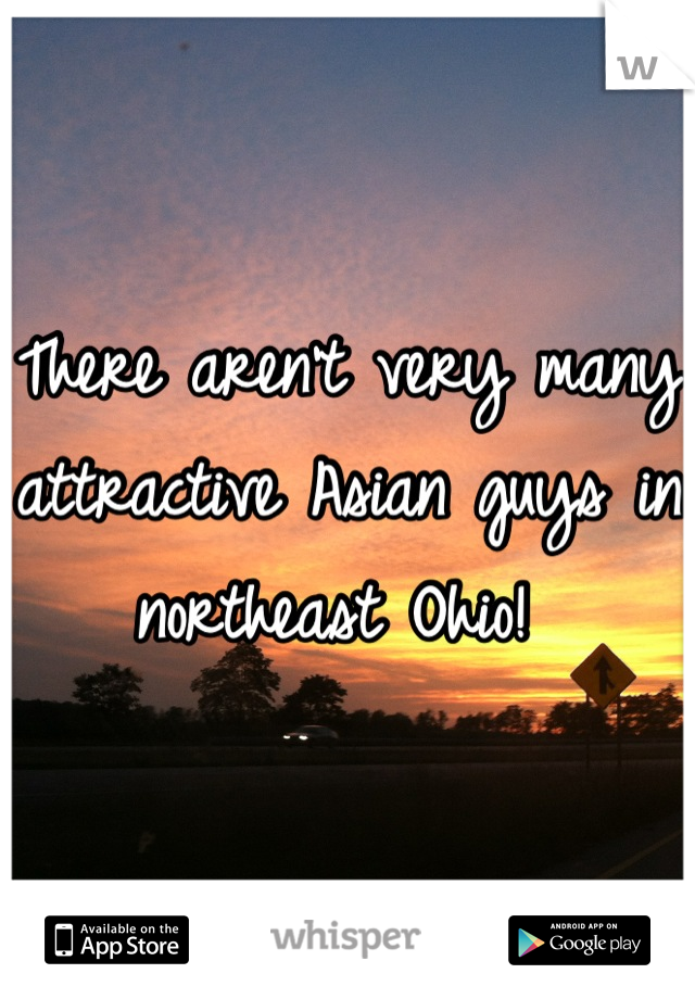 There aren't very many attractive Asian guys in northeast Ohio! 