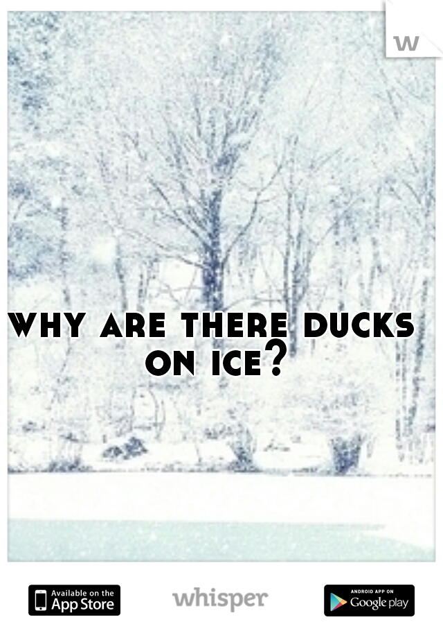 why are there ducks on ice?