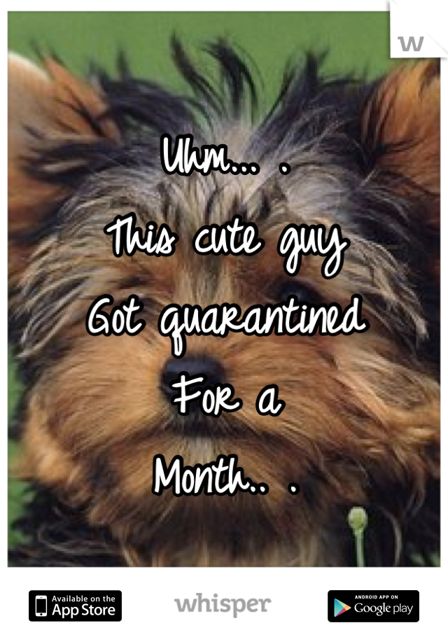 Uhm... . 
This cute guy 
Got quarantined 
For a
Month.. .