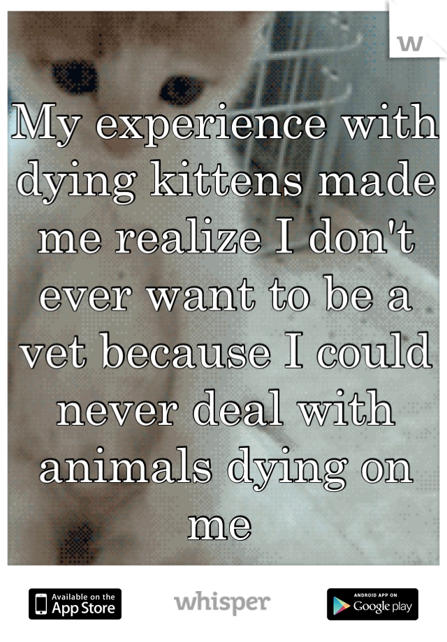 My experience with dying kittens made me realize I don't ever want to be a vet because I could never deal with animals dying on me 