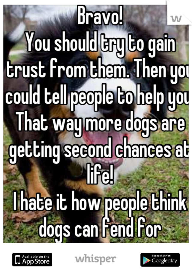 Bravo!
You should try to gain trust from them. Then you could tell people to help you. That way more dogs are getting second chances at life!
I hate it how people think dogs can fend for themselves.