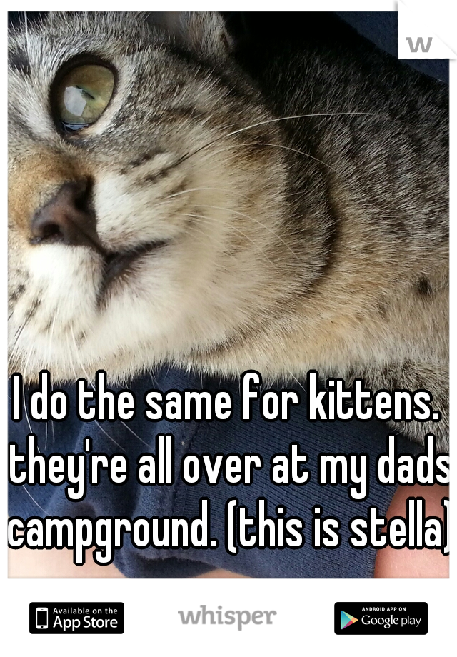 I do the same for kittens. they're all over at my dads campground. (this is stella)