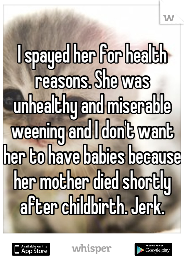 I spayed her for health reasons. She was unhealthy and miserable weening and I don't want her to have babies because her mother died shortly after childbirth. Jerk.