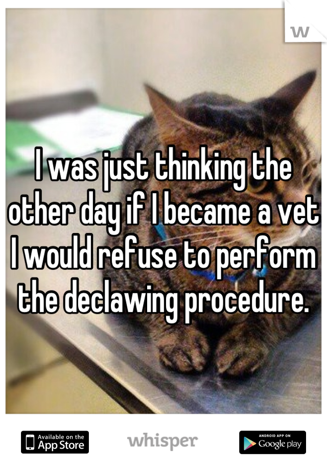 I was just thinking the other day if I became a vet I would refuse to perform the declawing procedure.