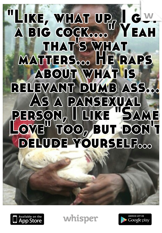 "Like, what up, I got a big cock...." Yeah that's what matters... He raps about what is relevant dumb ass... As a pansexual person, I like "Same Love" too, but don't delude yourself...