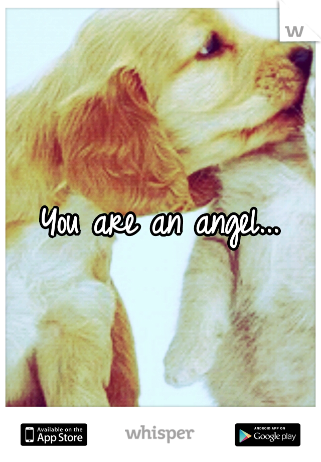 You are an angel...