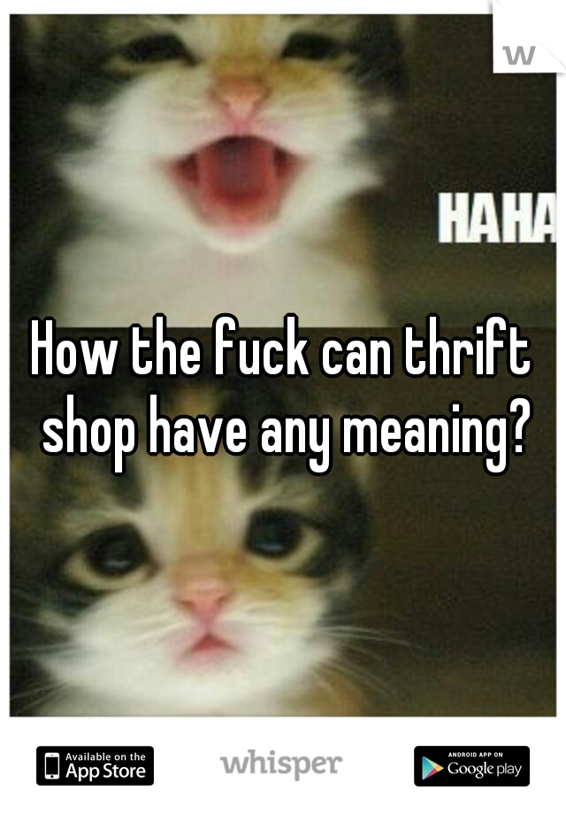 How the fuck can thrift shop have any meaning?